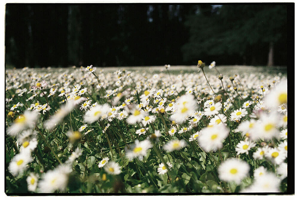 France wedding photographer