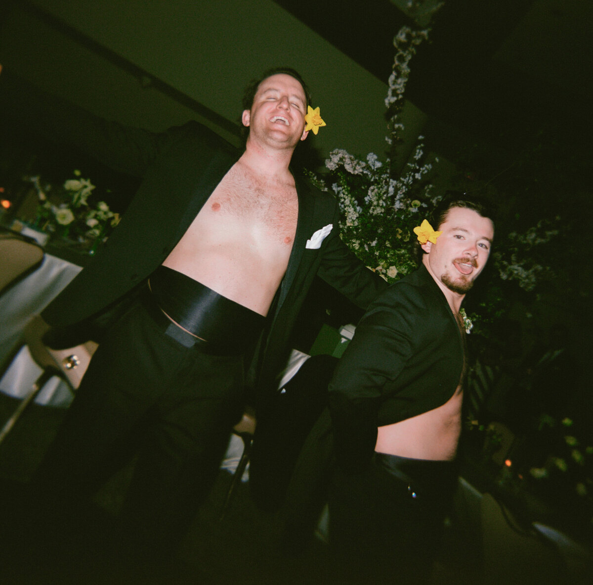 Ariel+Cameron+Photography+WILD+24