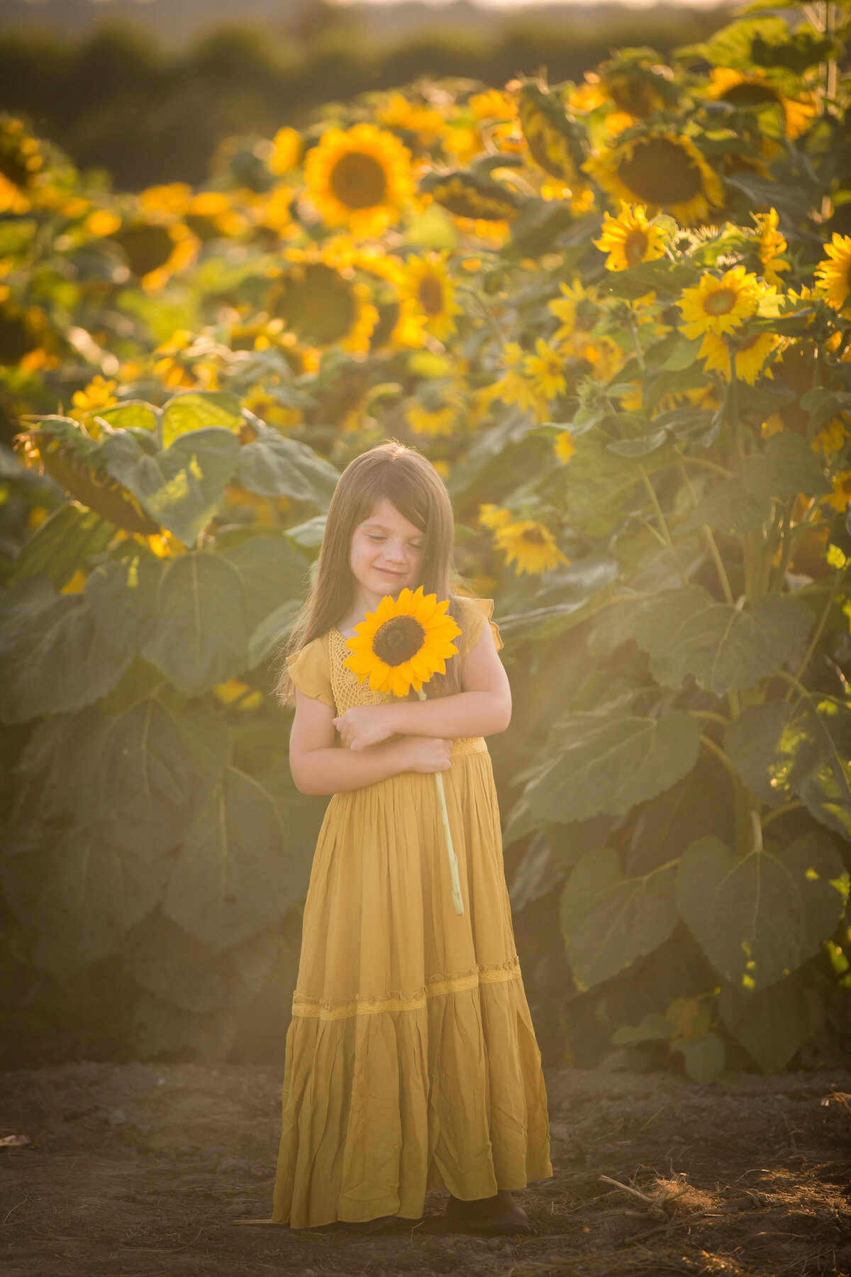 Beautiful little girl holding sunflower in field of flowers