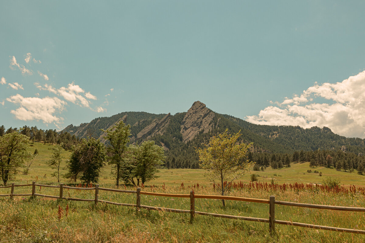 Harvey-5-Friends-PaytonHartsellPhotography-255