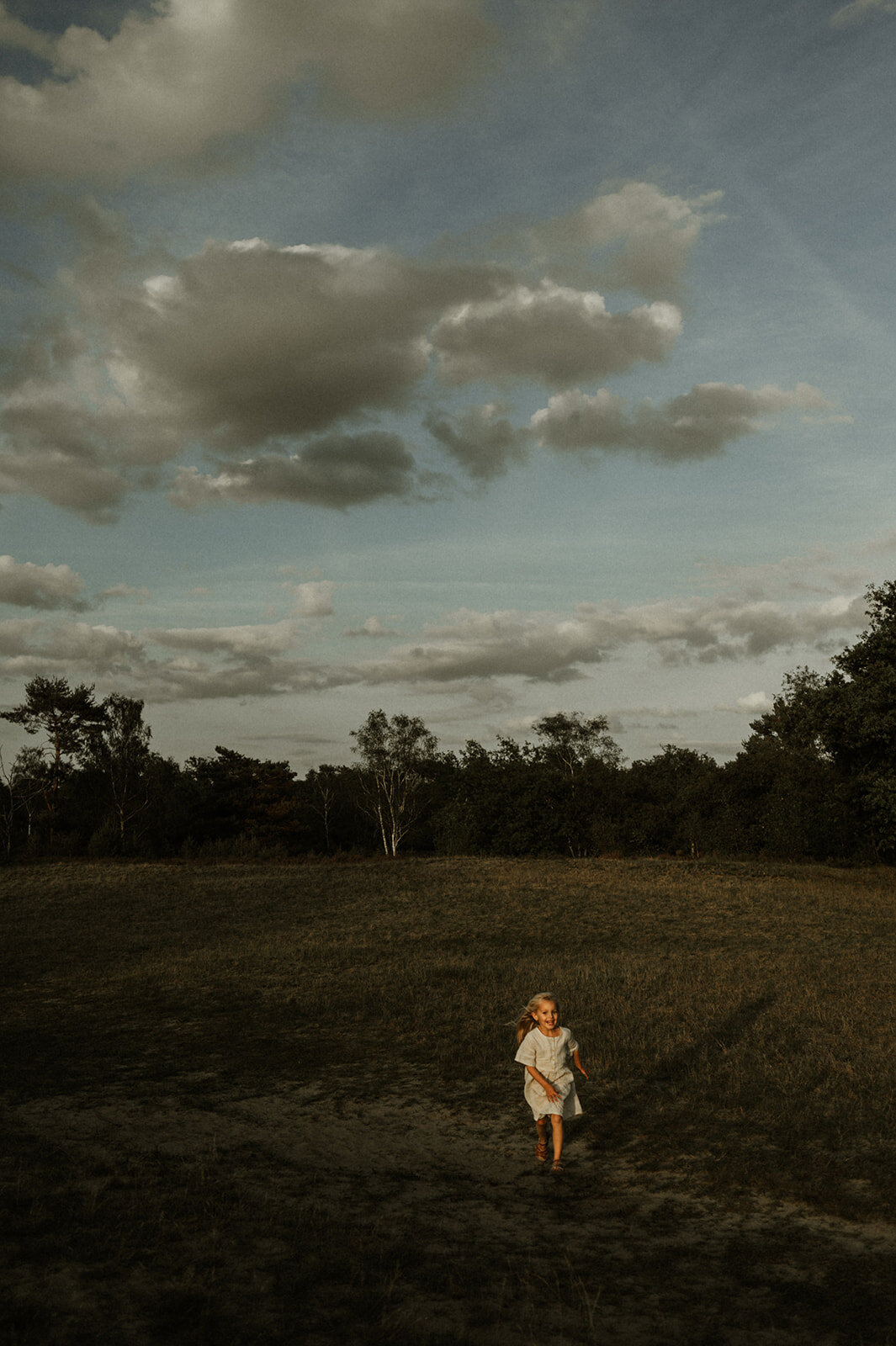 Gezinsfotografie in Nijlen tijdens golden hour – pure, spontane momenten vastgelegd in de heide.