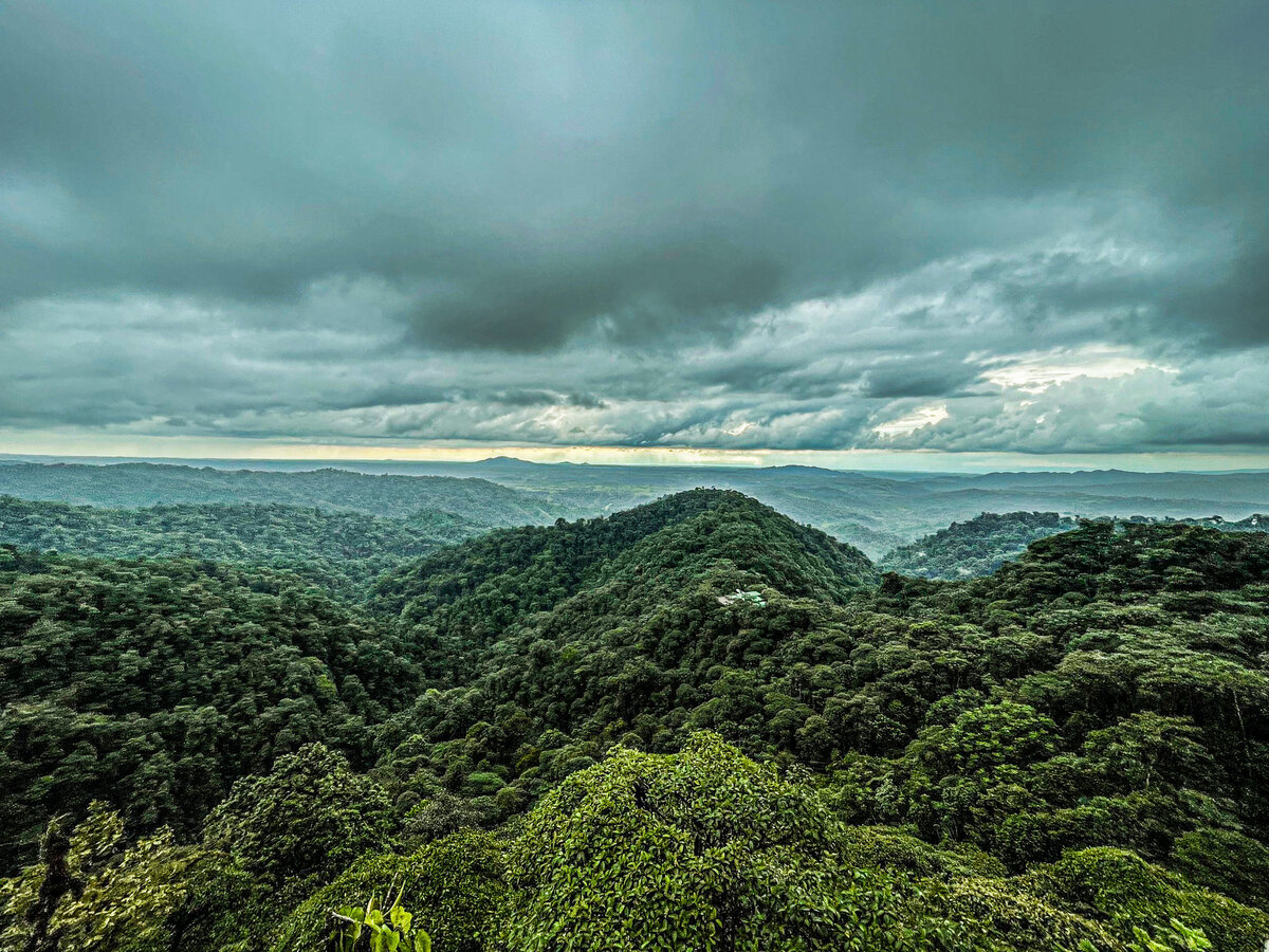 Waterstone - Mashpi Lodge - Mashpi Reserve - Ecuador - Luxury Boutique Hotel - IMG_8865