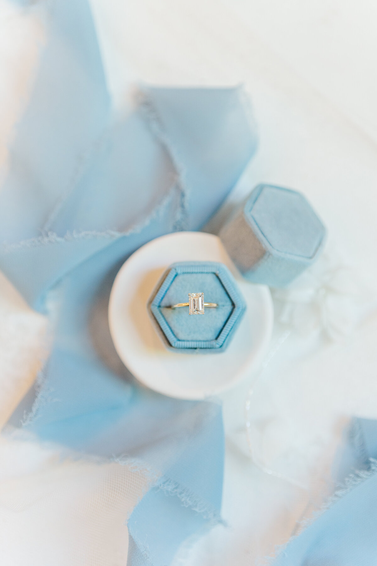 Highlands Ranch Mansion Historic Summer Garden Wedding Dusty Blue Elena Spraguer Photography 0021