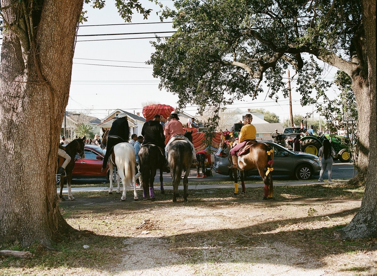 horses on second line and black cowboys of New Orleans