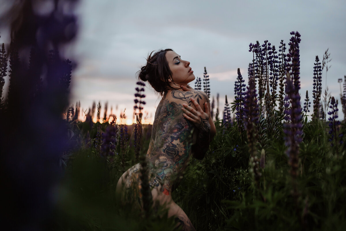 carolyn-lupines-260