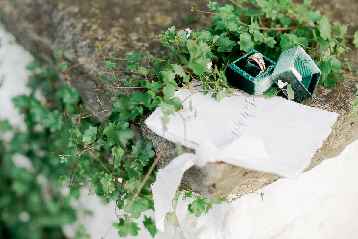 film photographer rachel pearlman cottage flowers moss and meadow (117 of 130)