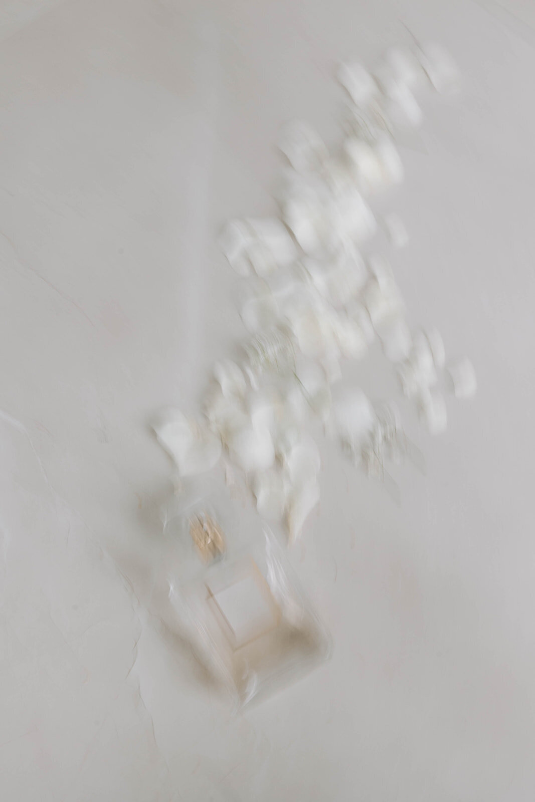 jackiesteele-5_websize (1)