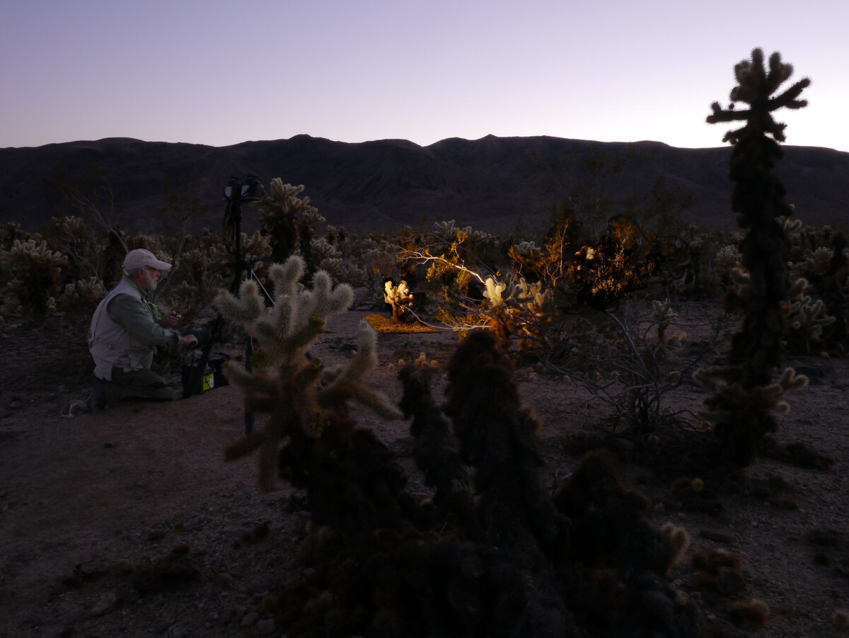 LM_LightPaint_4