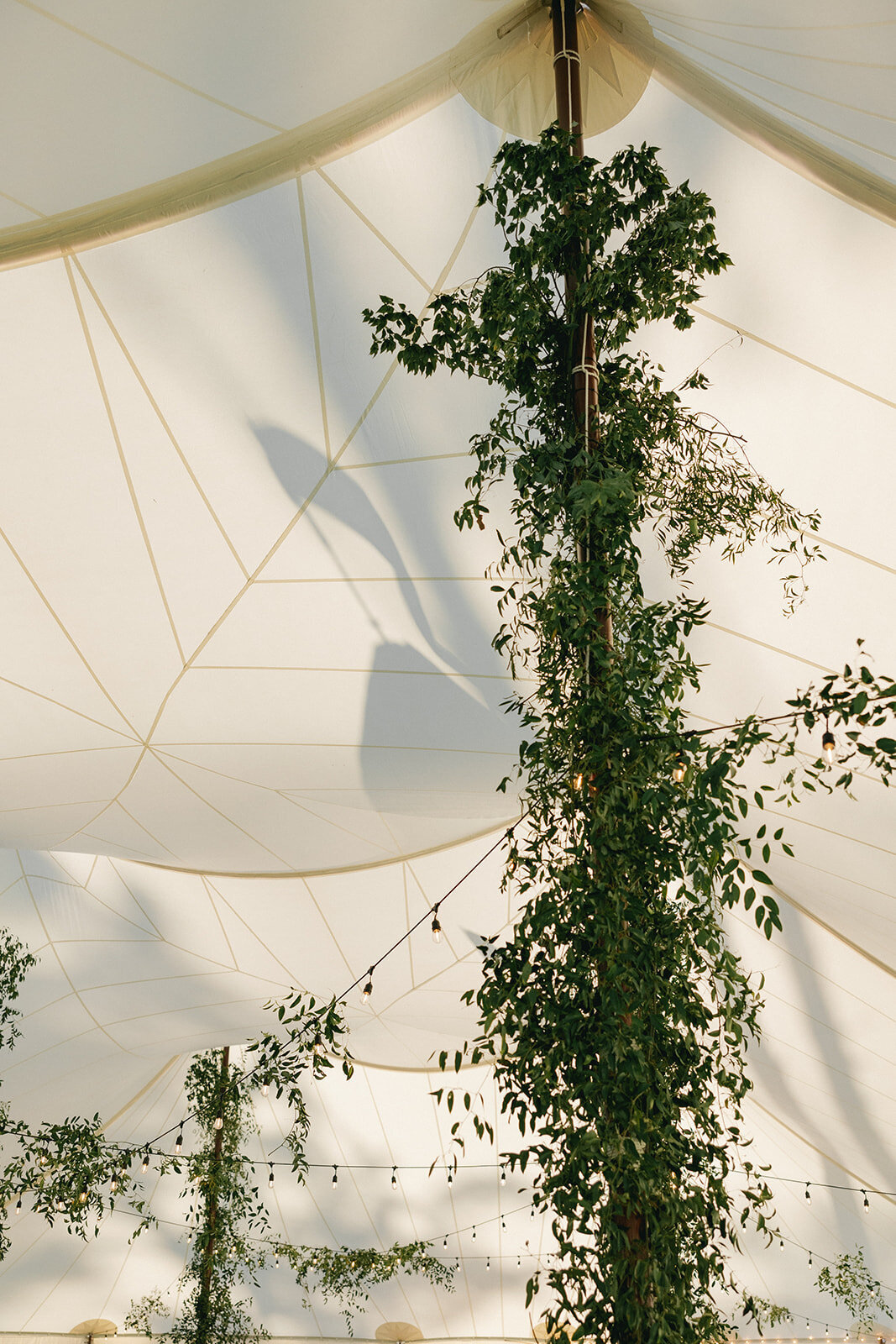 MauraDavidson_Emily+Duncan-6829