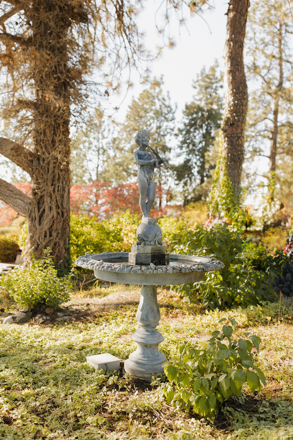 shanoahbriphotography-283