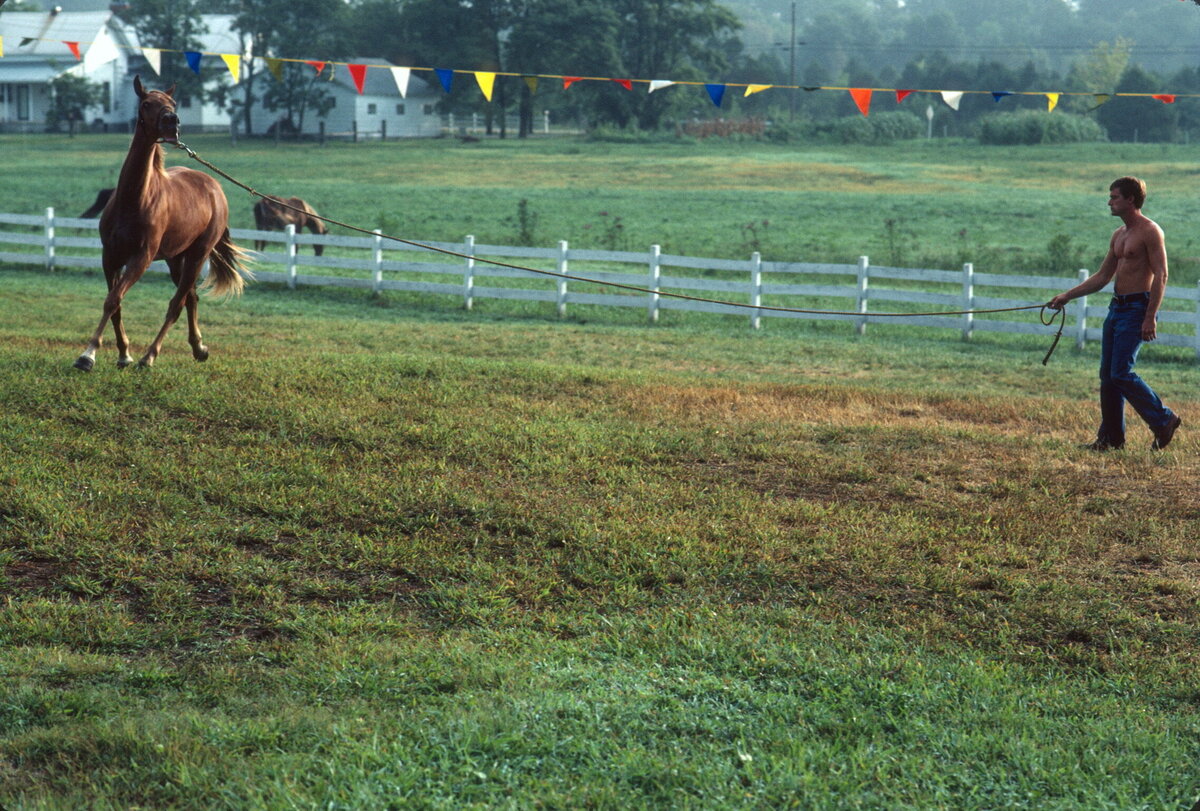 5c Clay working Yearling