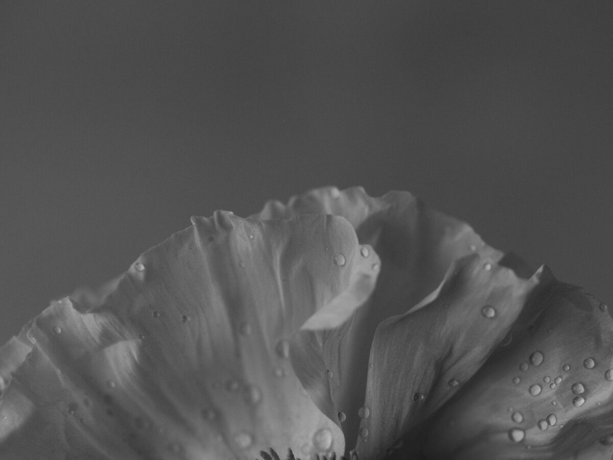 Sarah Bradshaw Editorial & Commercial photograph 0010