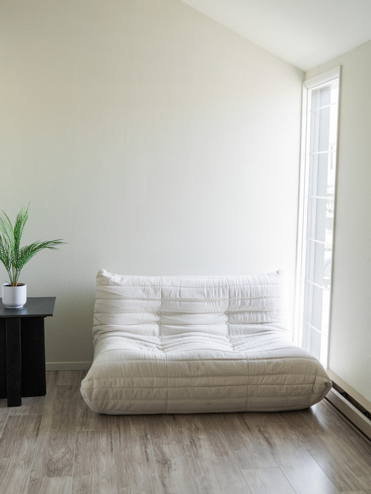 Modern Loveseat Couch