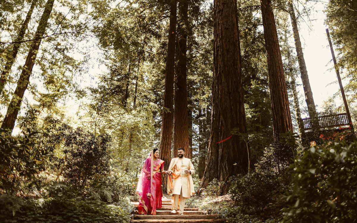 redwoods-nestledown-indian-wedding-santa-cruz-photographer-videographer-7