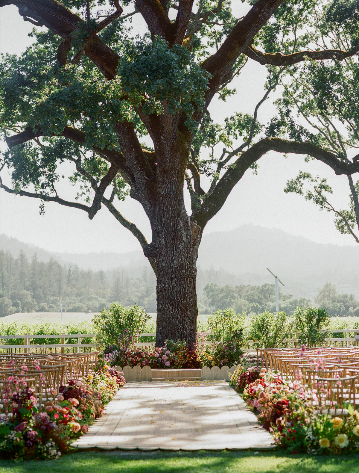 napa-documentary-best-photographer-wedding-dejauregui-photography-157