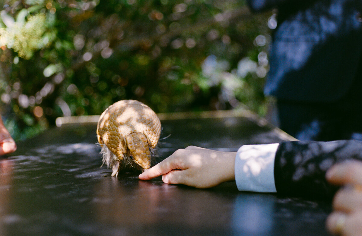 los-angeles-film-wedding-photographer-10