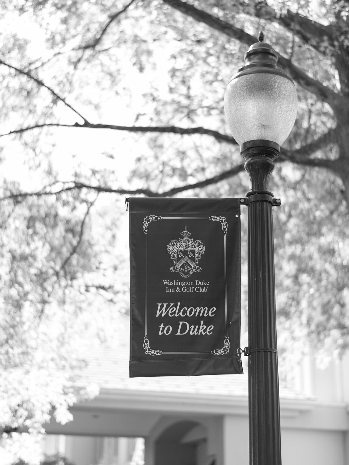 nc-wedding-photographer-2