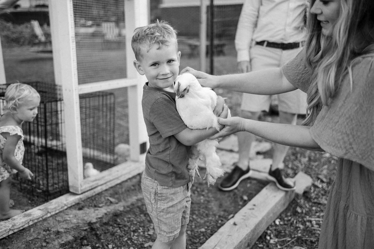 Little boy holding a chicken in backyard while mom helps.