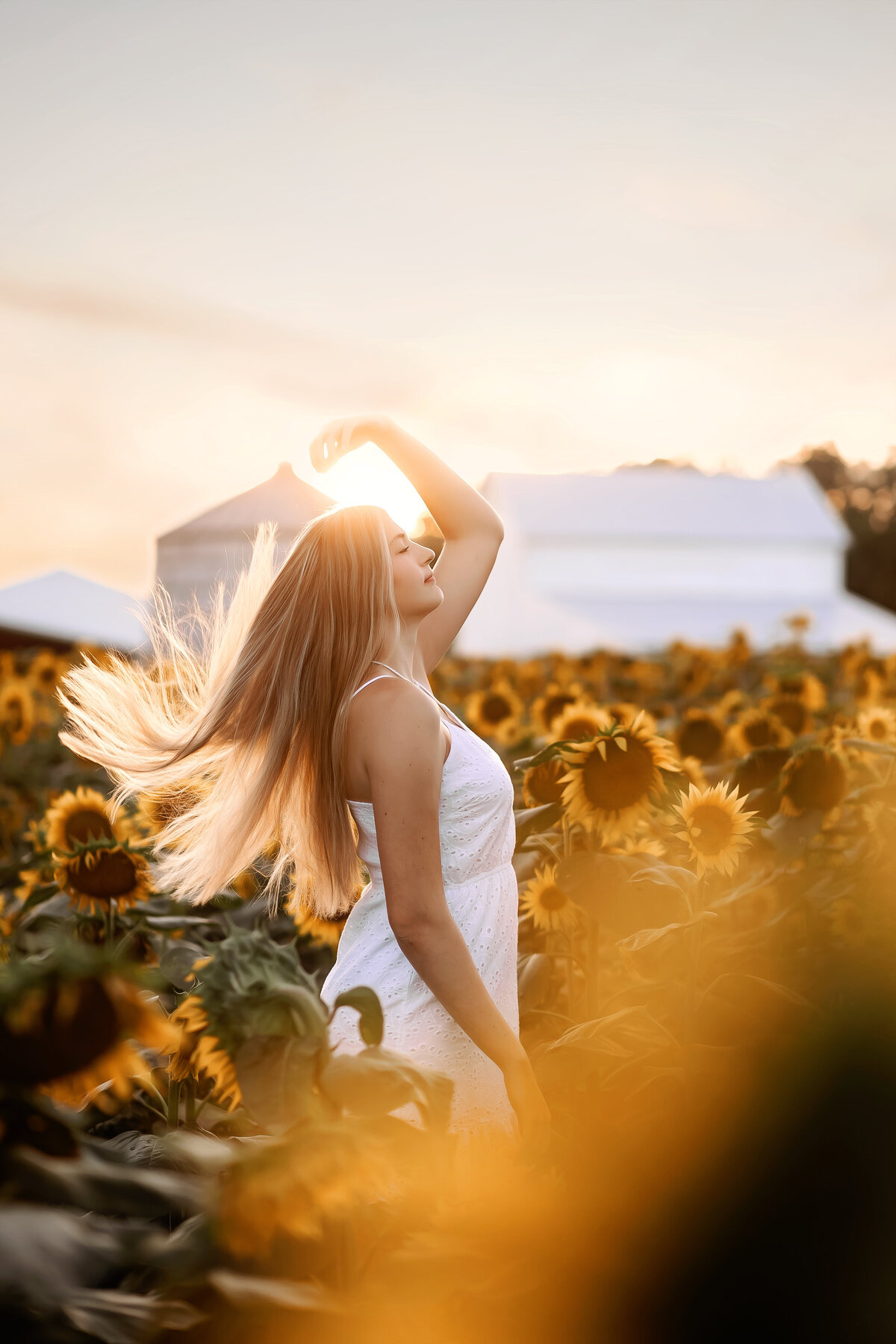 senior pictures in sunflowers. massillon ohio