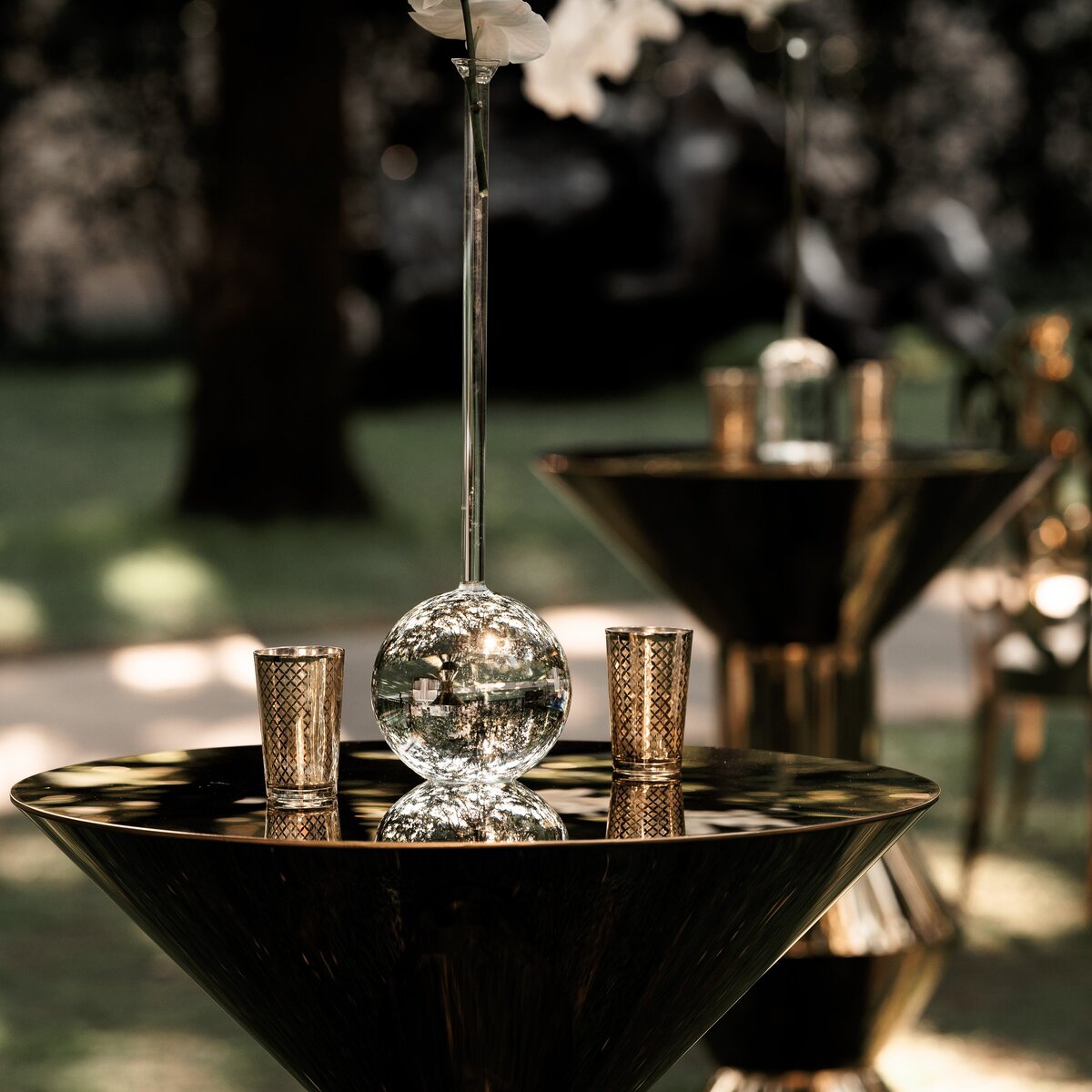 Sneak Peek - Shawn  Nasim-162-DSC08697 (2)