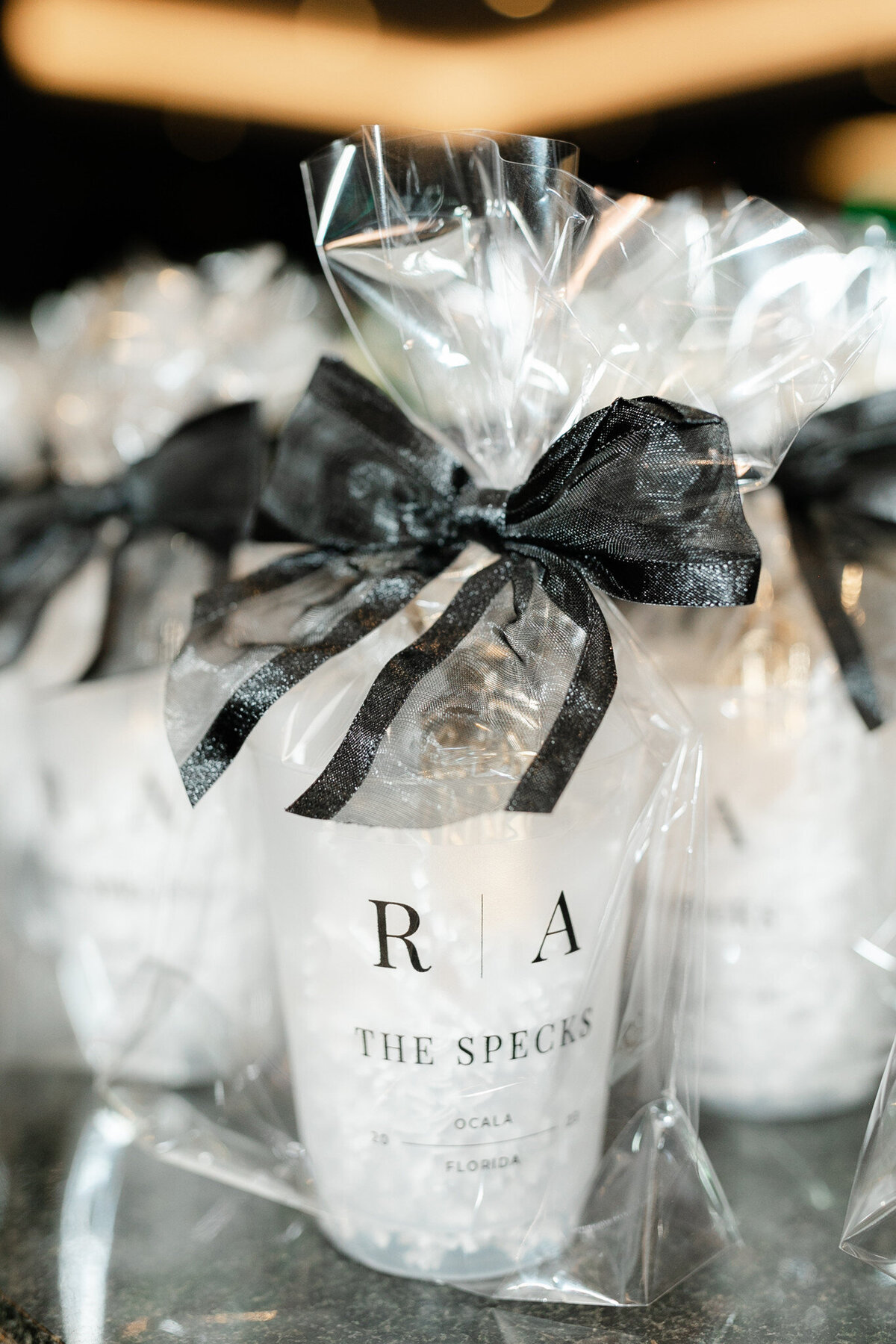 World Equestrian Center, Ocala, FL Wedding