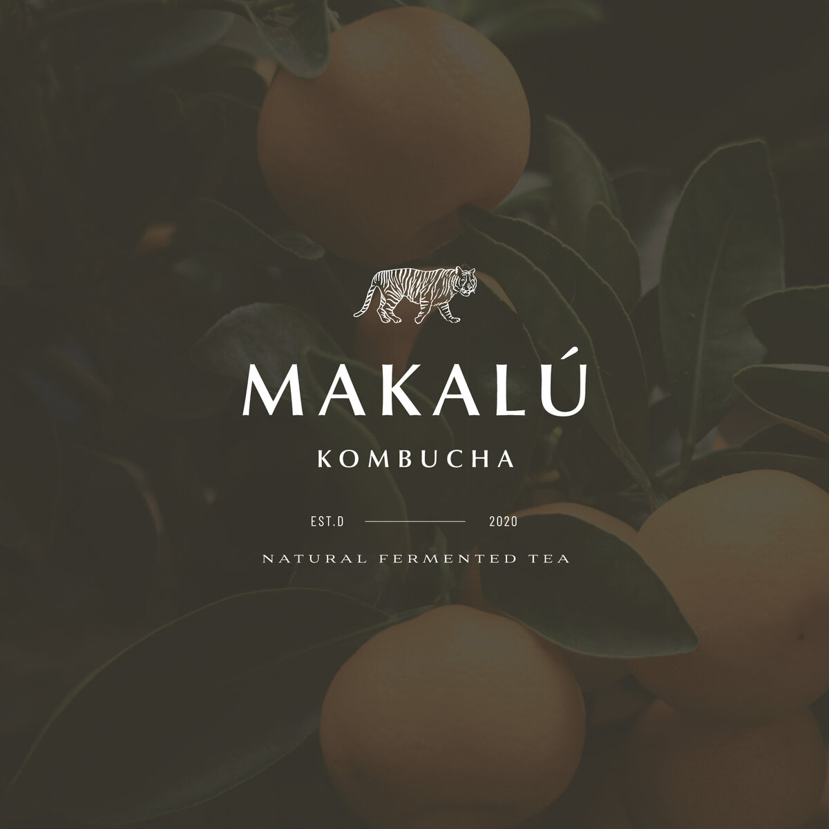 Blog_Makalu3