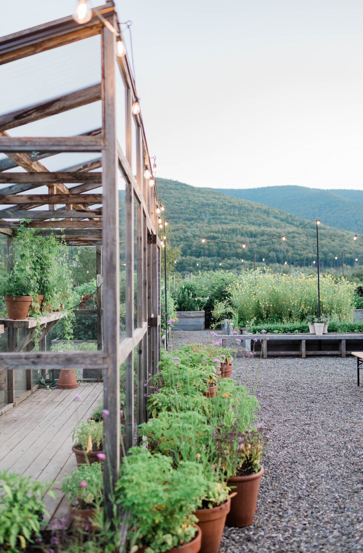 A wooden greenhouse with glass panes sits beside potted herbs and flowers, overlooking rolling green mountains at sunset.