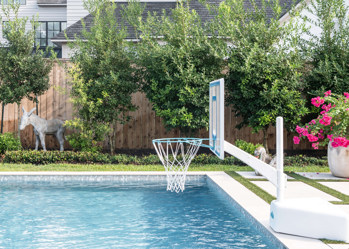 french lab design portfolio pool basketball