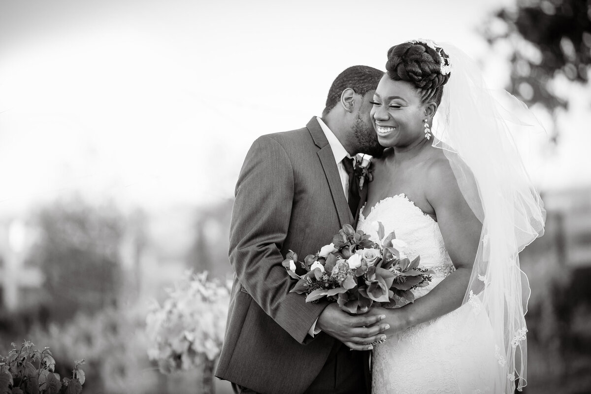 Shauntell_Darnell_Meritage_Resort_wedding_Petronella_Photography_411