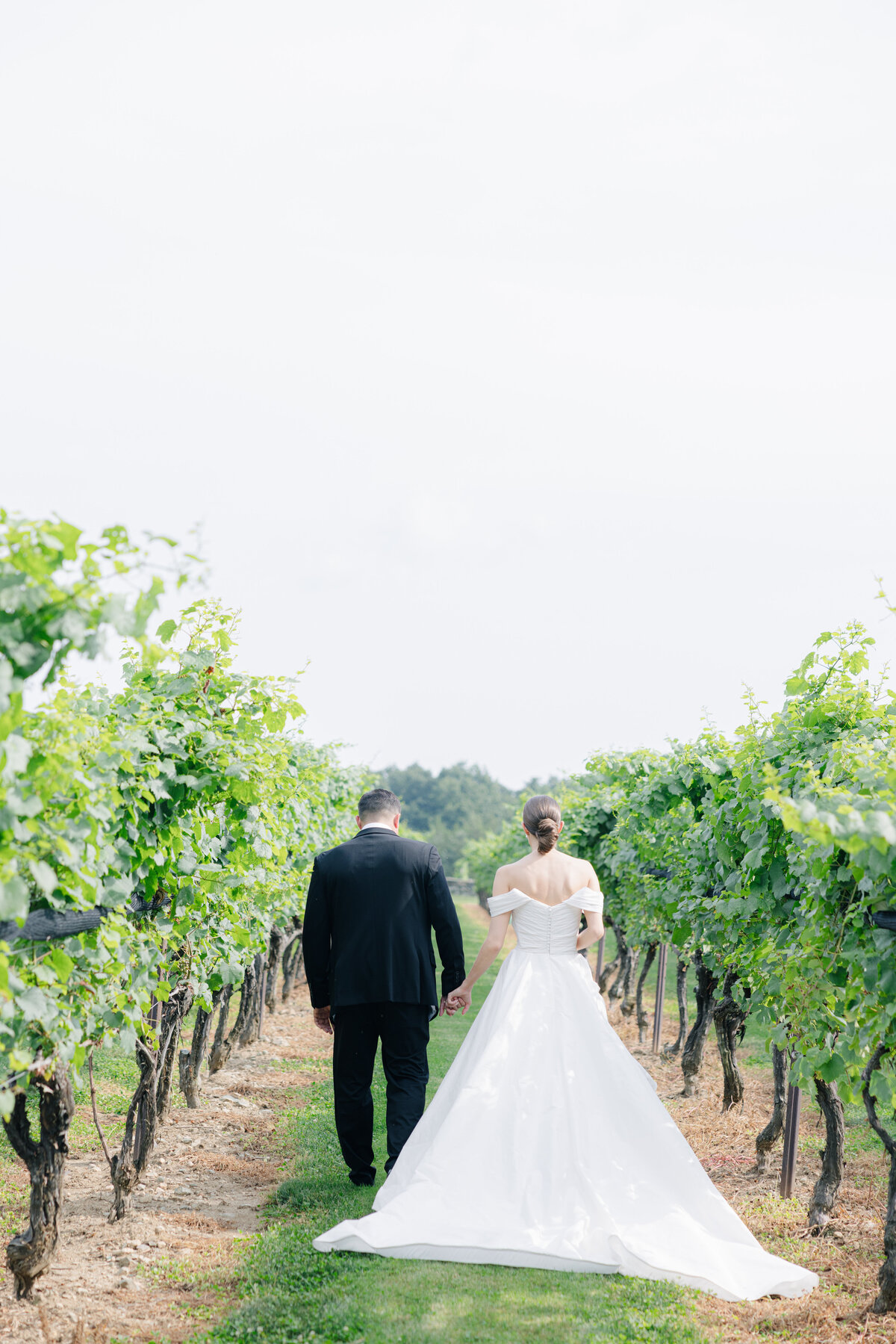 Bride and groom in vineyard