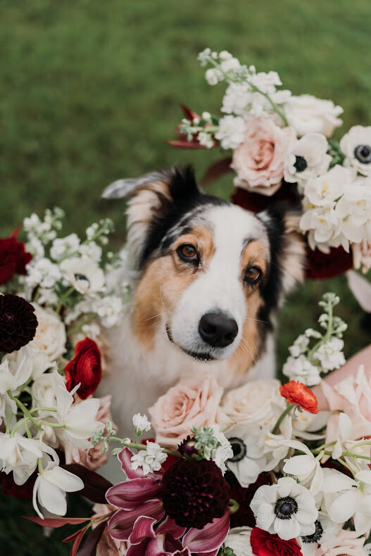 Lauren McCormick Photography-140