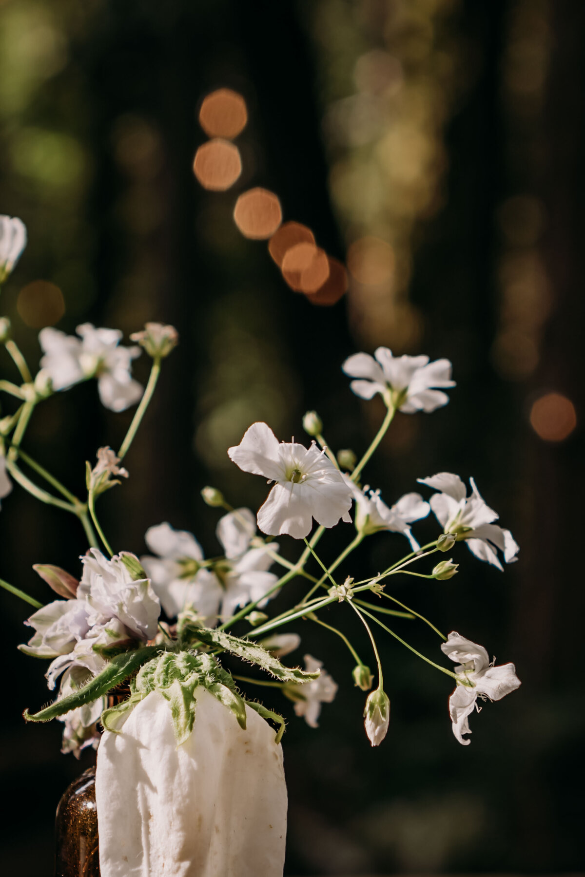 wooded-wedding-detail