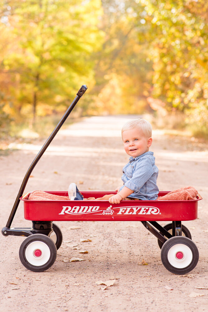colorado-fall-family-photography-toddler-in-wagon