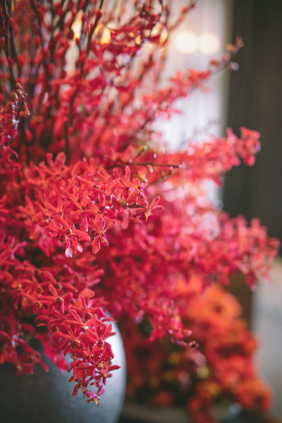Red Flowers
