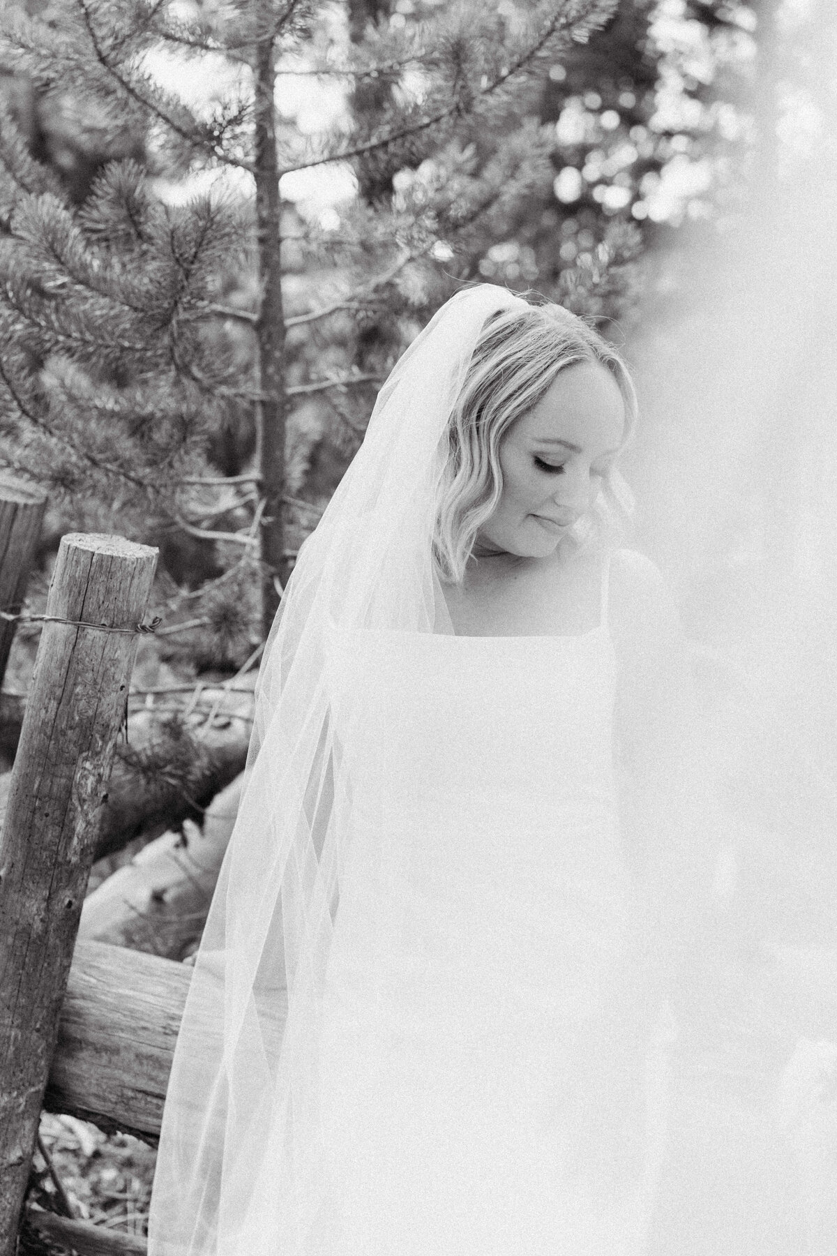 maggie+sean-200DSC04096