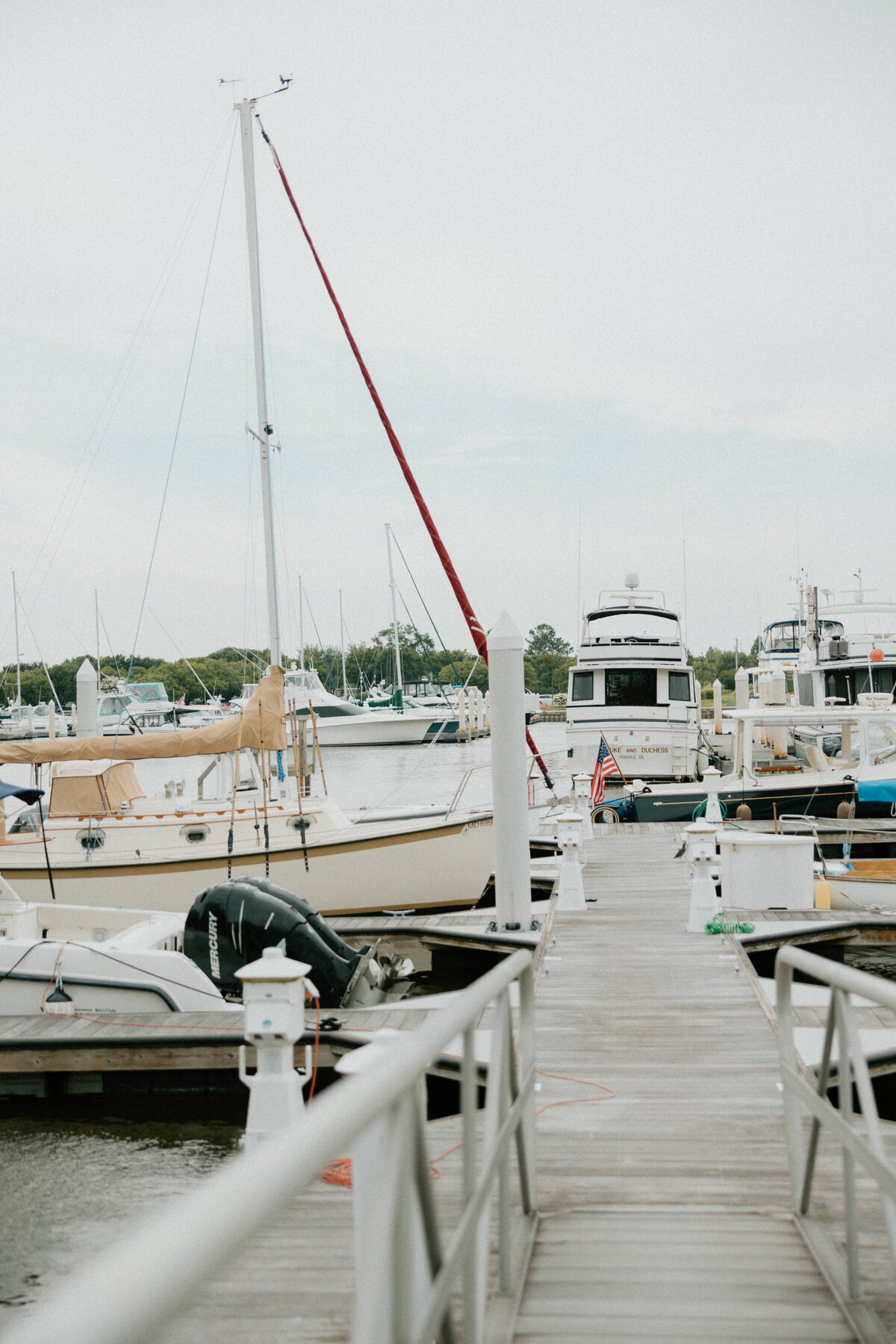 chesapeake-bay-beach-club-wedding-cara-amarie-photography-post-ceremony-106