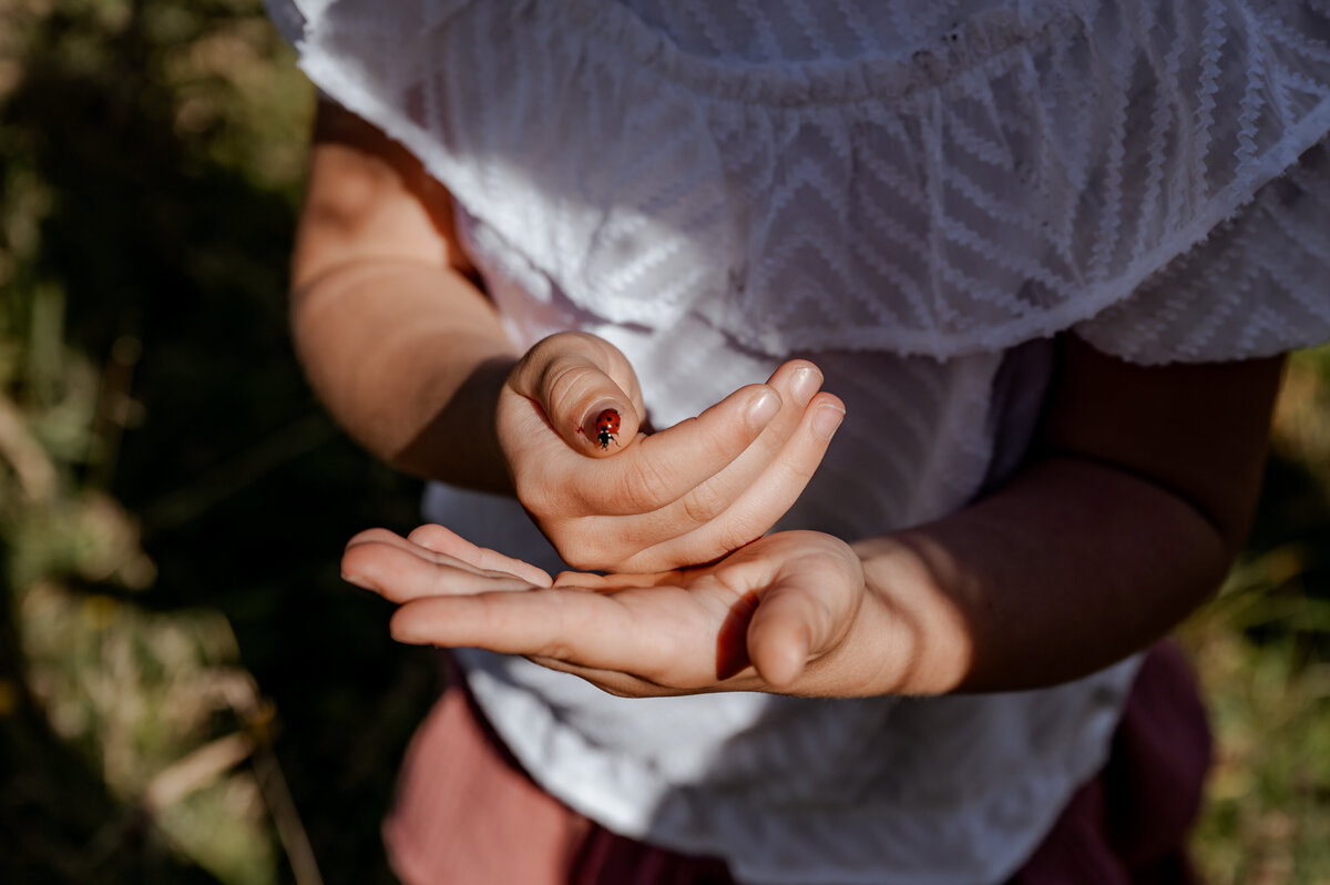 Sanne Creuëls Photography - Nature-1