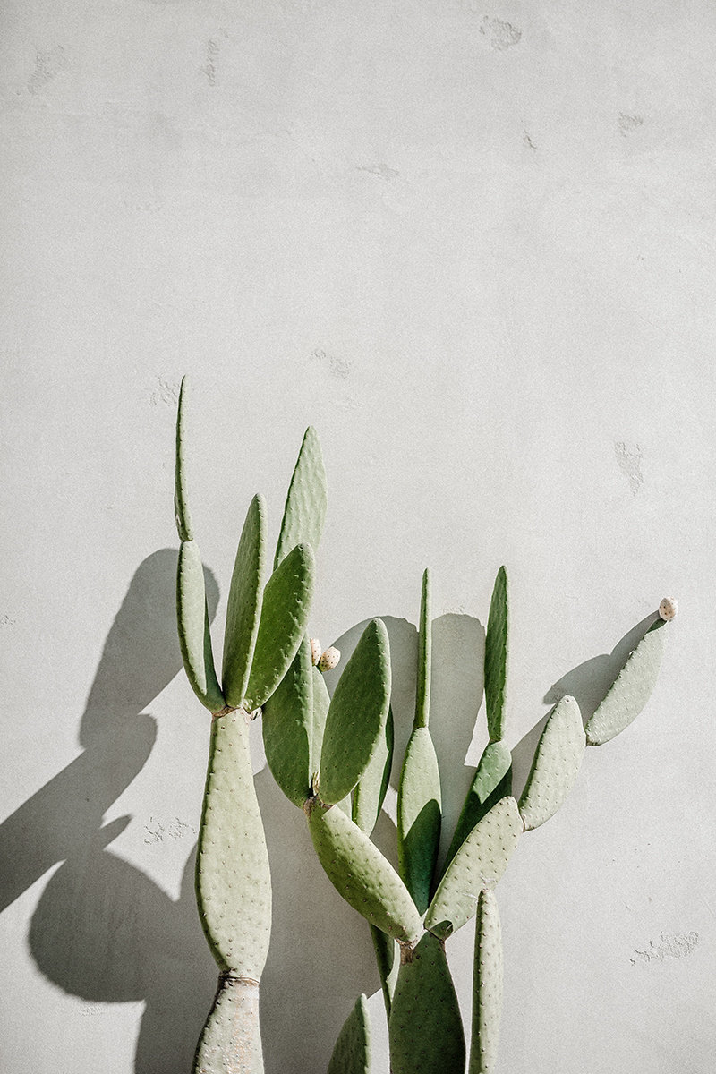 wedding _ mckenzie deakins-42