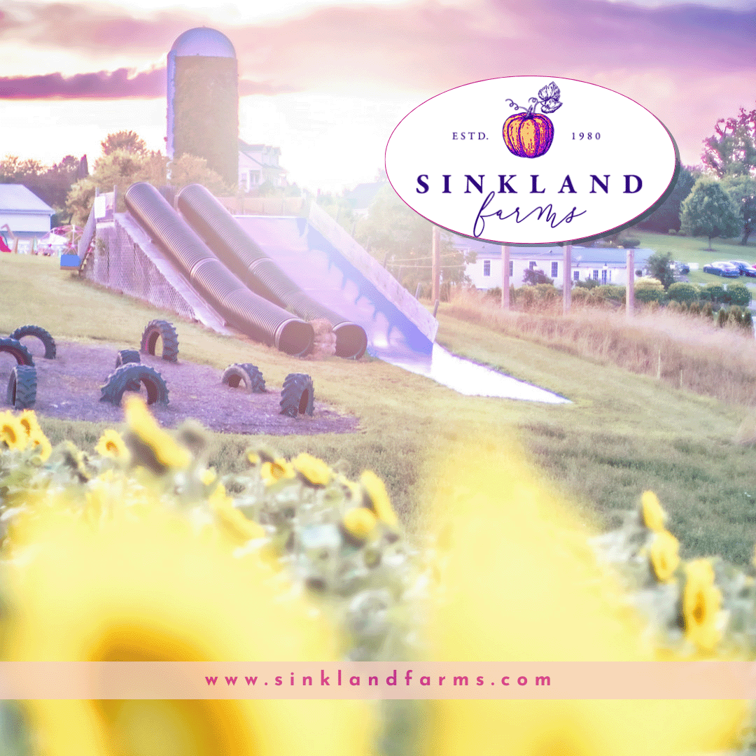 pumpkin-festival-kids-playzone_sinkland-farms-sm-web