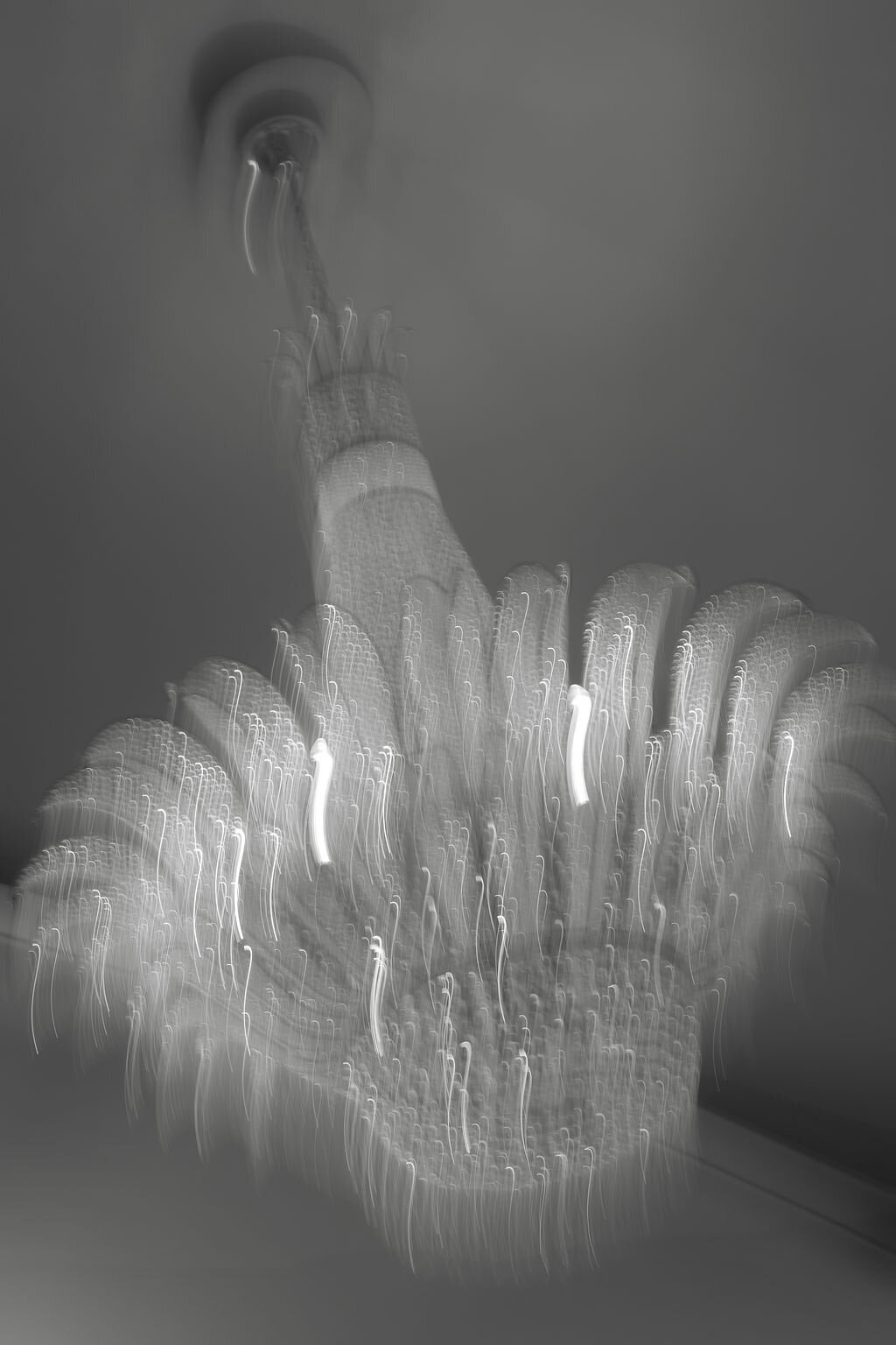 artistic-chandelier-fine-art-wedding-detail