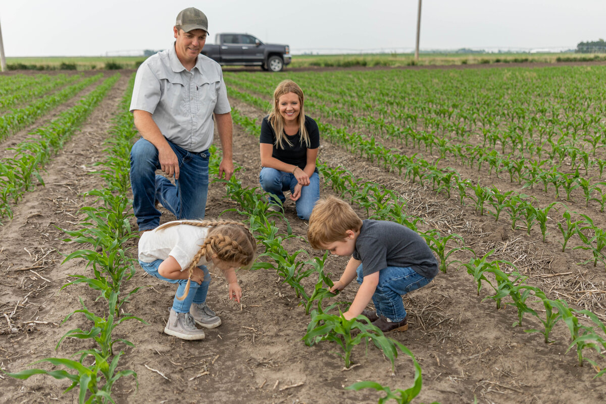 PrecisionPlanting--Wohlgemuth-49 (2)