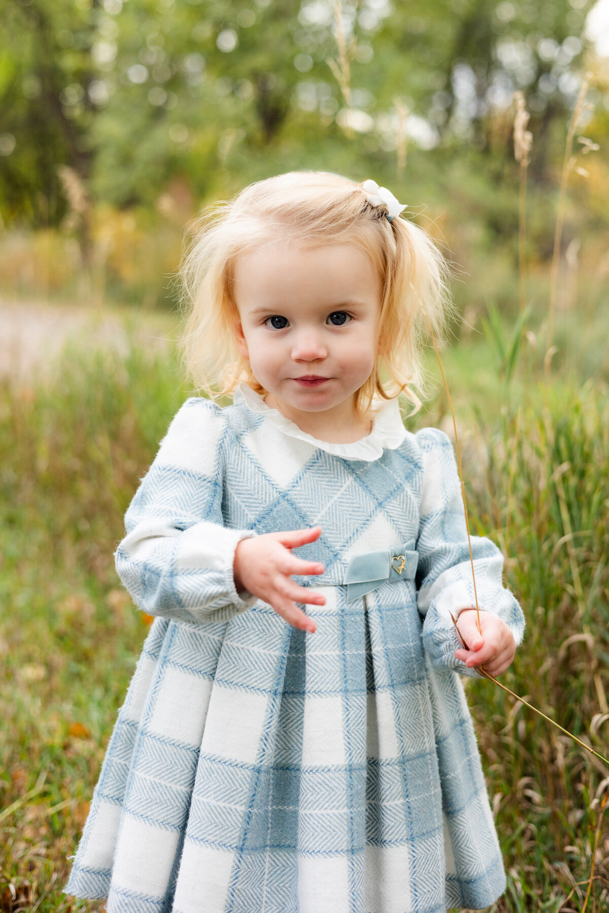 A little girl stands in tall grass in a blue plaid dress and looks at the camera.