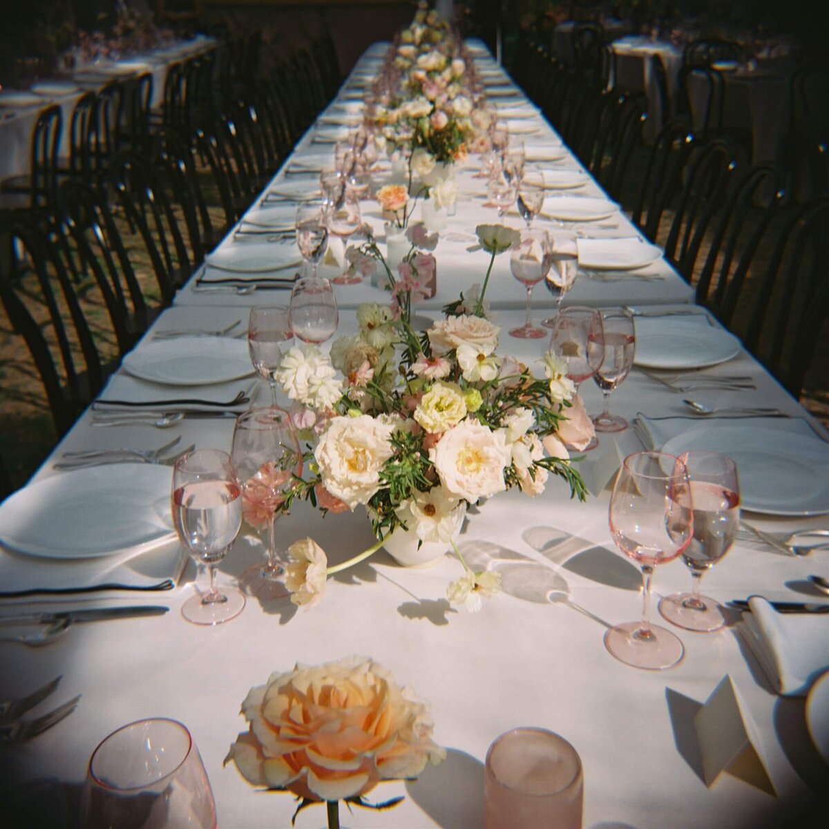 25-pink-garden-wedding-cheekwood-modern-vintage-events
