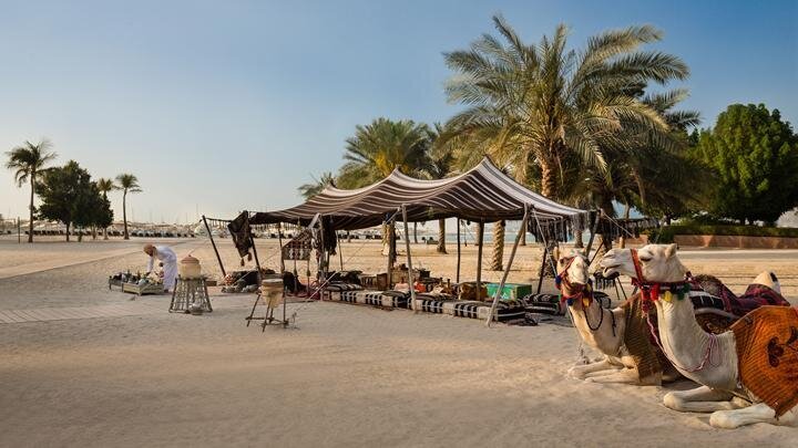 Camel-Uschi_at_Emirates_Palace_PHOTO-2023-07-23-23-56-20