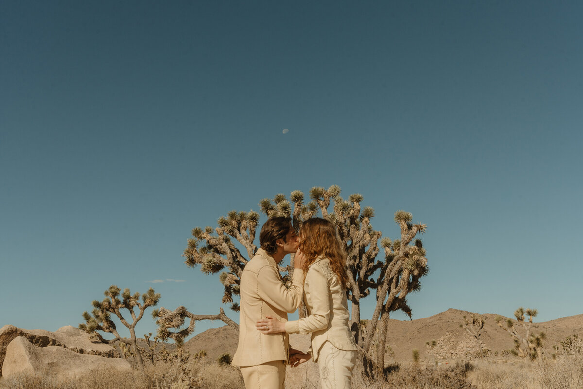 joshua tree photographer-19
