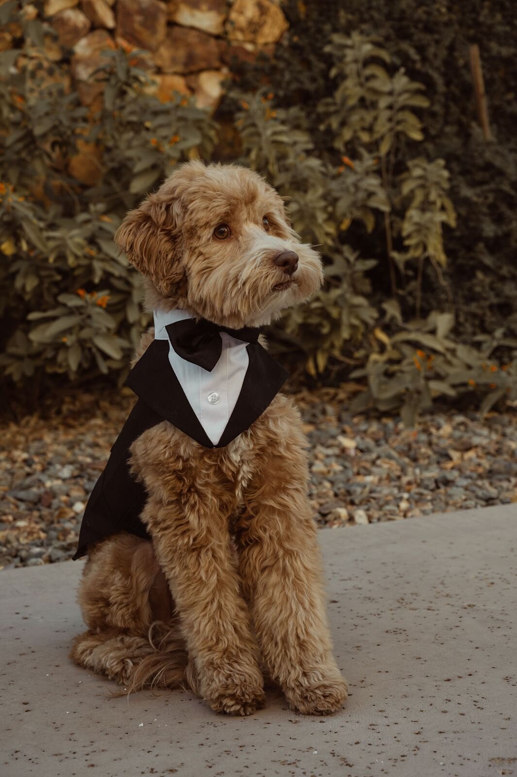 arizona_boho_wedding_17