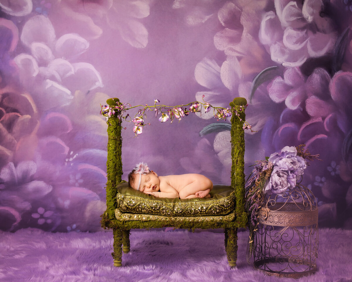 Newborn baby girl on moss bed on a purple floral backdrop and purple fur floor.  There is a golden birdcage next to the baby.  The baby is laying on her stomach and curled up with her head turned to the side.