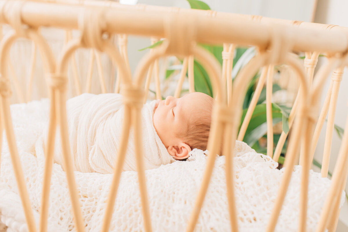 Sharon Leger Photography | Canton Connecticut Newborn and Family Photographer | Burlington, CT-8