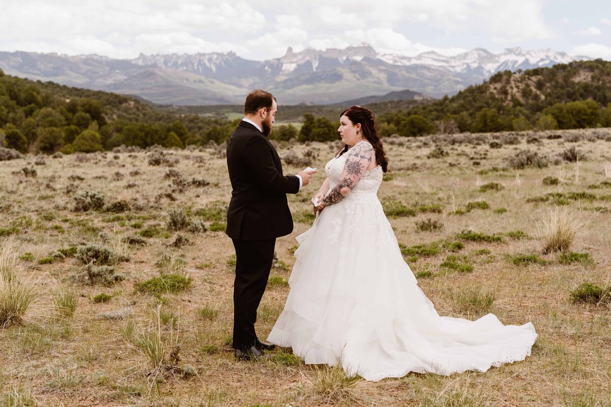 Bride and groom exchange vows in an open field with dramatic mountain peaks in the background at Ridgway State Park, Colorado.