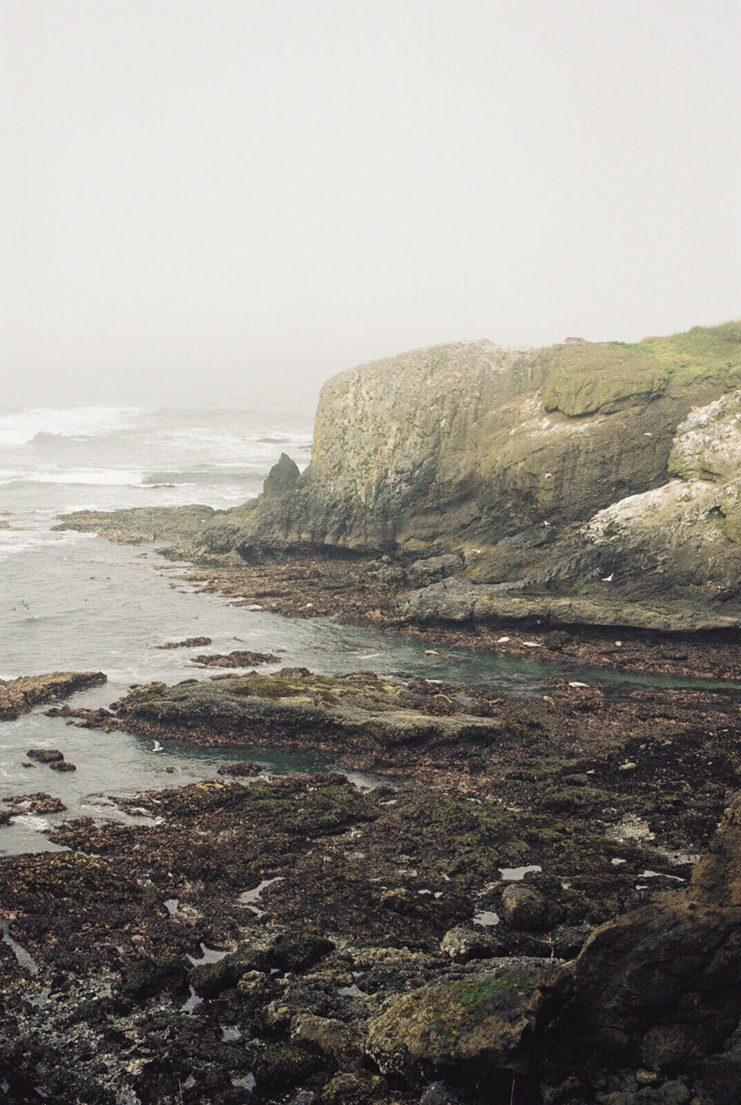 The Oregon coast. 